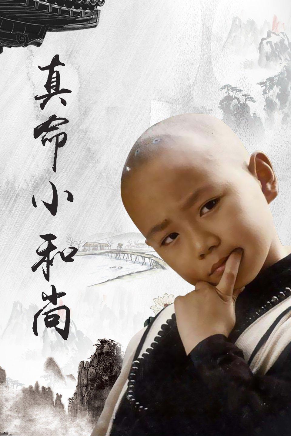 真命小和尚之无字天书海报