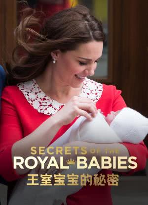 王室宝宝的秘密海报封面图