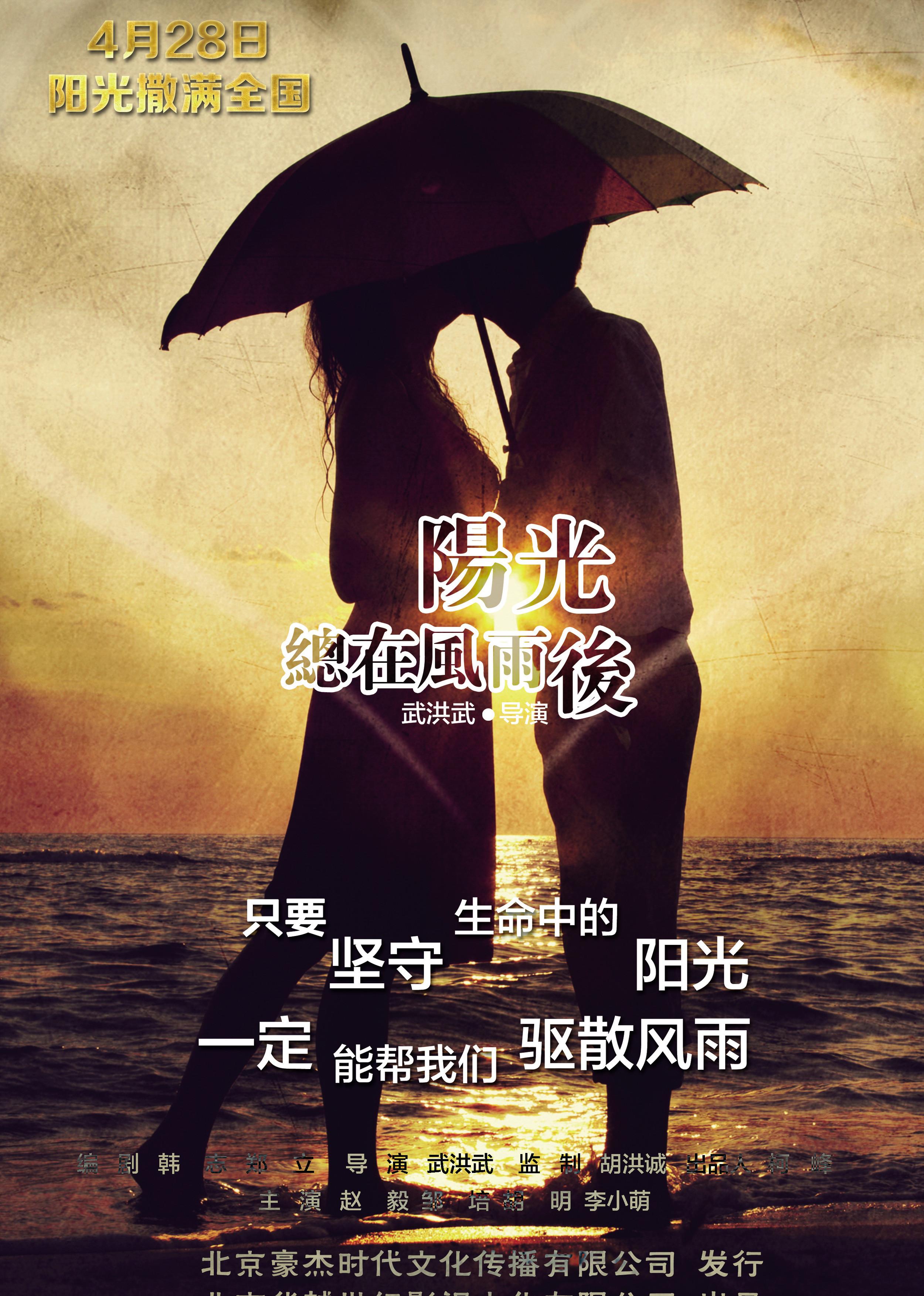 阳光总在风雨后海报