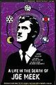 Mike Berry A Life in the Death of Joe Meek