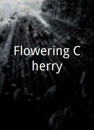 Flowering Cherry海报封面图