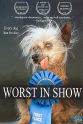 Rascal The World's Ugliest Dog Worst in Show