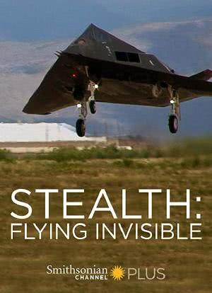 Stealth: Flying Invisible海报封面图