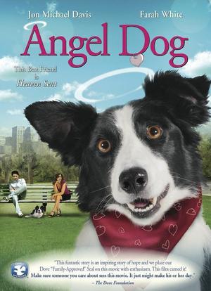 Angel Dog海报封面图