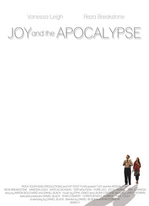Joy and the Apocalypse海报封面图