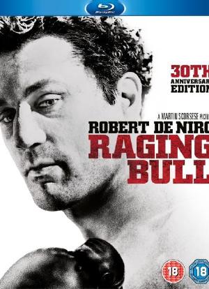 Raging Bull: Reflections on a Classic海报封面图