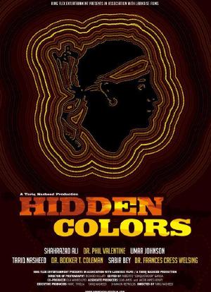 Hidden Colors海报封面图