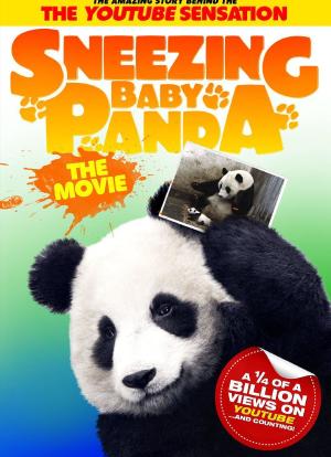 Sneezing Baby Panda海报封面图
