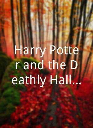 Harry Potter and the Deathly Hallows T4 Premiere Special海报封面图