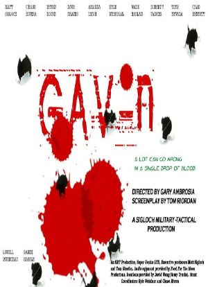 Gav-n海报封面图