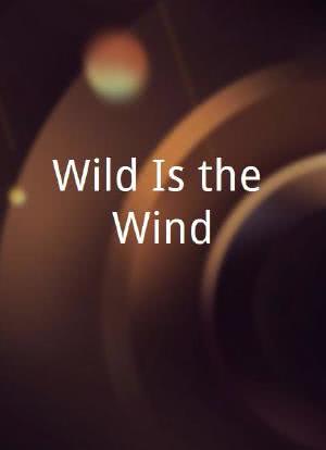 Wild Is the Wind海报封面图