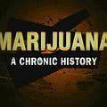 Marijuana: A Chronic History海报封面图