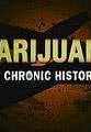 Jeffrey Miron Marijuana: A Chronic History