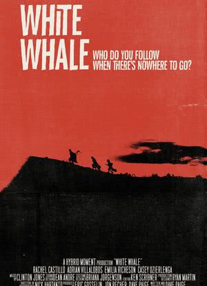 White Whale海报封面图