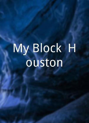 My Block: Houston海报封面图