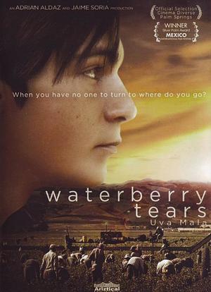 Waterberry Tears海报封面图