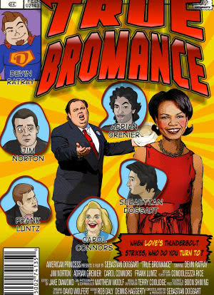 True Bromance海报封面图