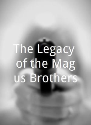 The Legacy of the Magus Brothers海报封面图
