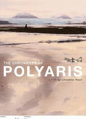 The Chronicles of Polyaris海报封面图