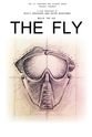Ashley Trieu The Fly