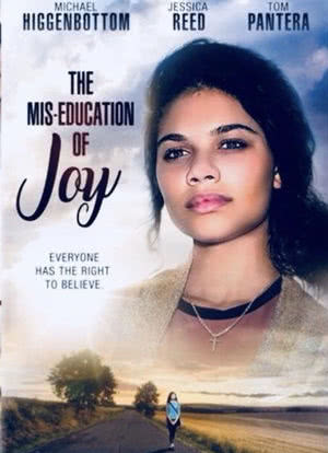 The Mis-Education of Joy海报封面图