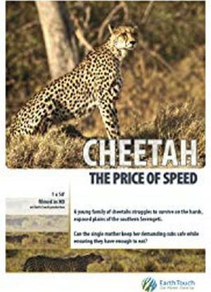 Cheetah: The Price of Speed海报封面图
