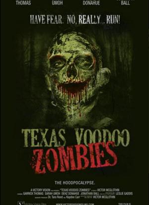 德克萨斯的巫毒僵尸海报封面图