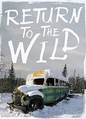 Return to the Wild: The Chris McCandless Story海报封面图