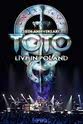 Blue Leach Toto: 35th Anniversary Tour Live in Poland