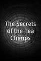 Sharon Redrobe The Secrets of the Tea Chimps