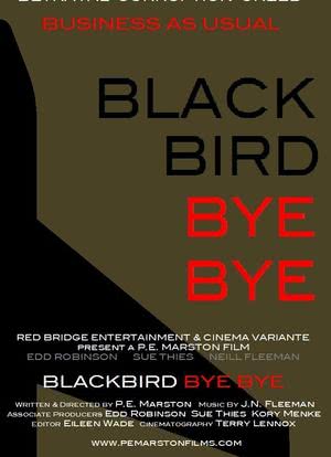 Blackbird Bye Bye海报封面图