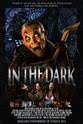 Scott Aaker In the Dark