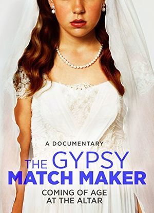 The Gypsy Matchmaker海报封面图