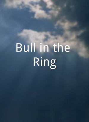 Bull in the Ring海报封面图