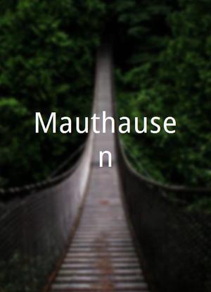 Mauthausen海报封面图