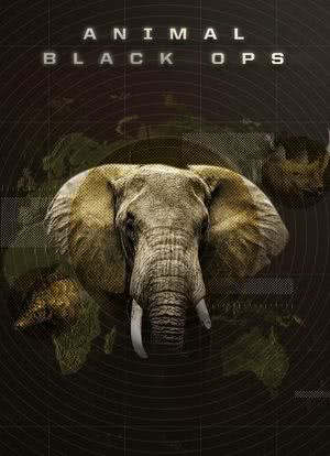 Animal Black Ops: Kenya海报封面图