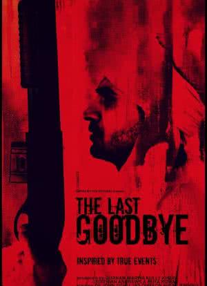 The Last Goodbye海报封面图