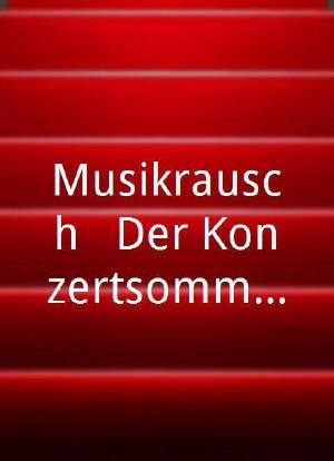 Musikrausch - Der Konzertsommer海报封面图