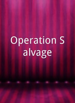Operation Salvage海报封面图