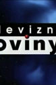 David Vanícek Televizní noviny