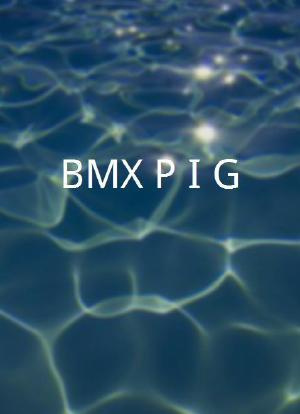 BMX P.I.G.海报封面图