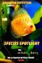 威廉J·巴里 Species Spotlight
