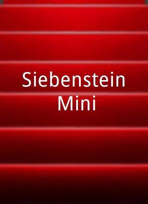 Siebenstein Mini海报封面图