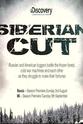 Zack Sheets Siberian Cut