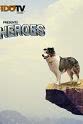 Blake Horobin Pet Heroes Season 2