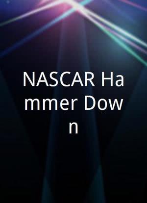 NASCAR Hammer Down海报封面图