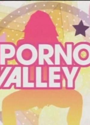 Porno Valley海报封面图