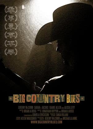 Big Country Blues海报封面图