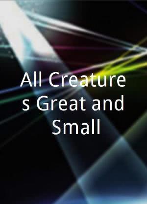 All Creatures Great and Small海报封面图