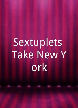Sextuplets Take New York海报封面图